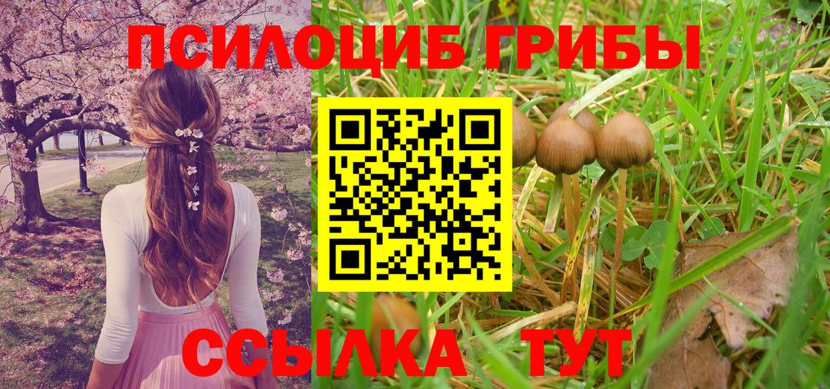 Галлюциногенные грибы MAGIC MUSHROOMS  закладка  Острогожск  Вход с VPN 