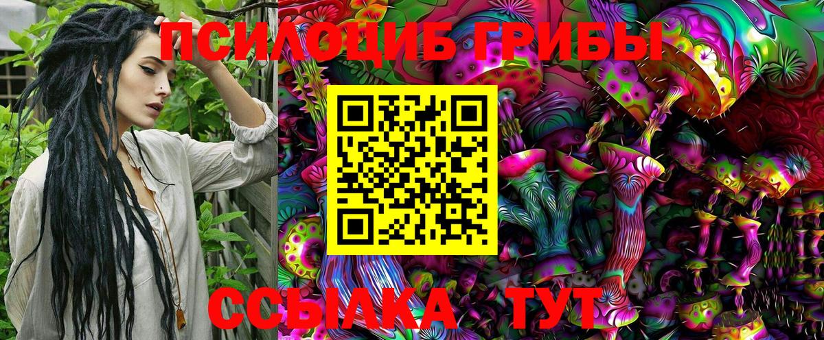 Псилоцибиновые грибы Psilocybe Острогожск